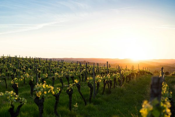 Où peut-on loger en Toscane pour un séjour avec des cours de cuisine et des visites de vignobles?